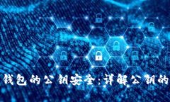 如何保护比特币钱包的公钥安全:详解公钥的风