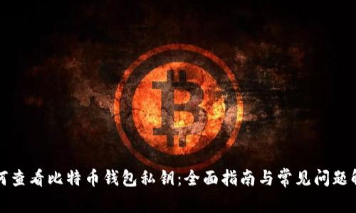 如何查看比特币钱包私钥：全面指南与常见问题解答
