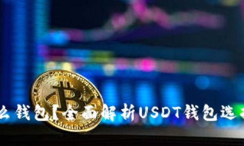 : USDT放什么钱包？全面解析USDT钱包选择与使用指南
