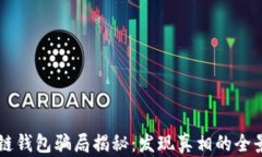 区块链钱包骗局揭秘：发现真相的全景指南