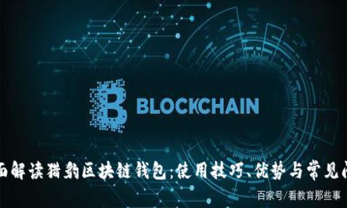 全面解读猎豹区块链钱包：使用技巧、优势与常见问题